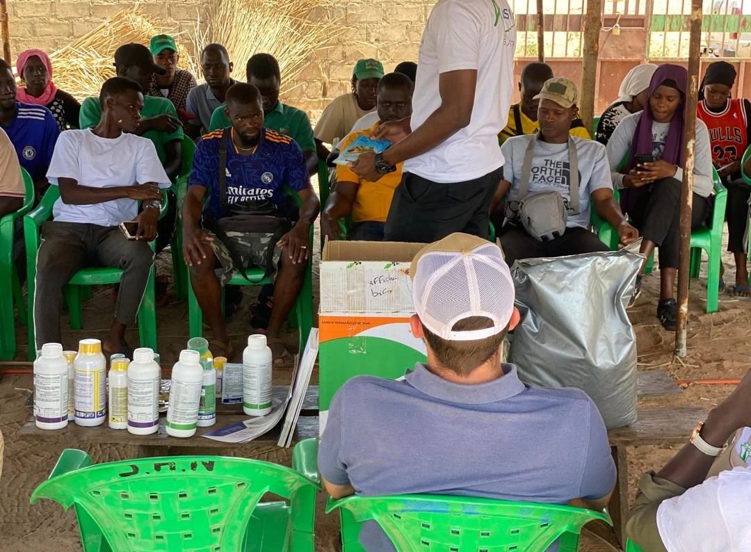 Journée de Formation à Keur Madiabel : ALBISIA et Les Greniers du Saloum aux Côtés de Kadialy Ndour