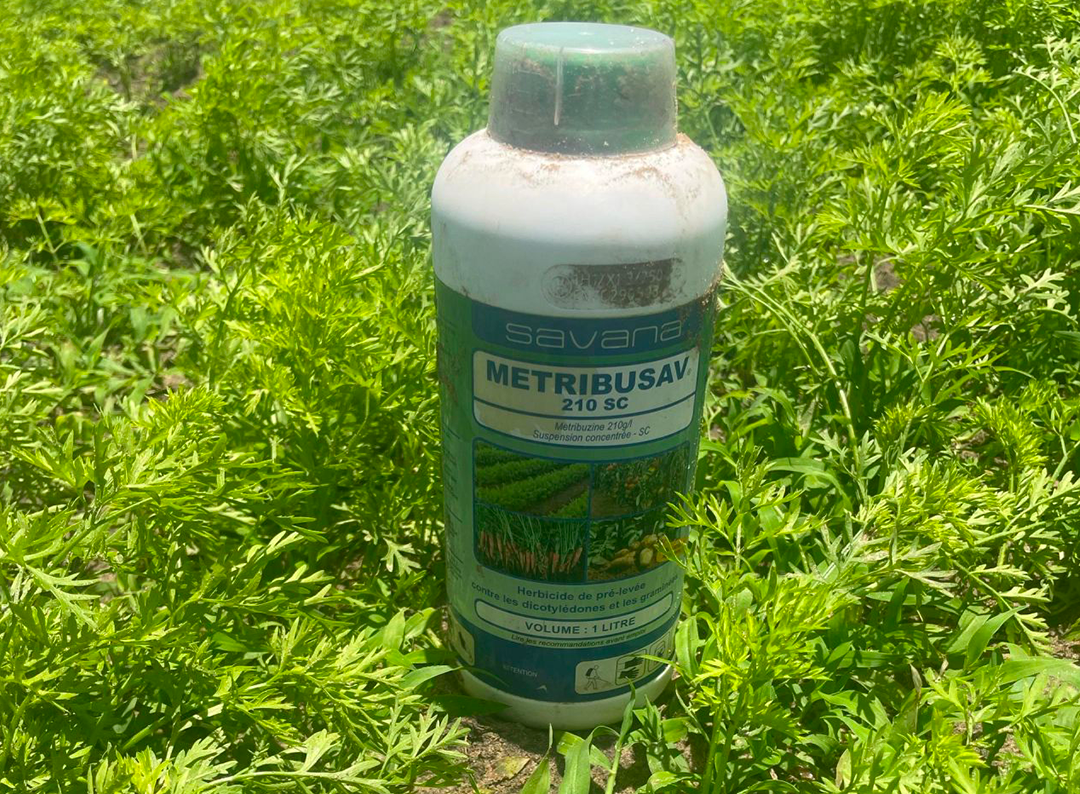 Suivi de la Démonstration METRIBUSAV à Notto : Rencontre avec le Producteur Djiby Ndiaye