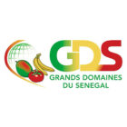 GDS