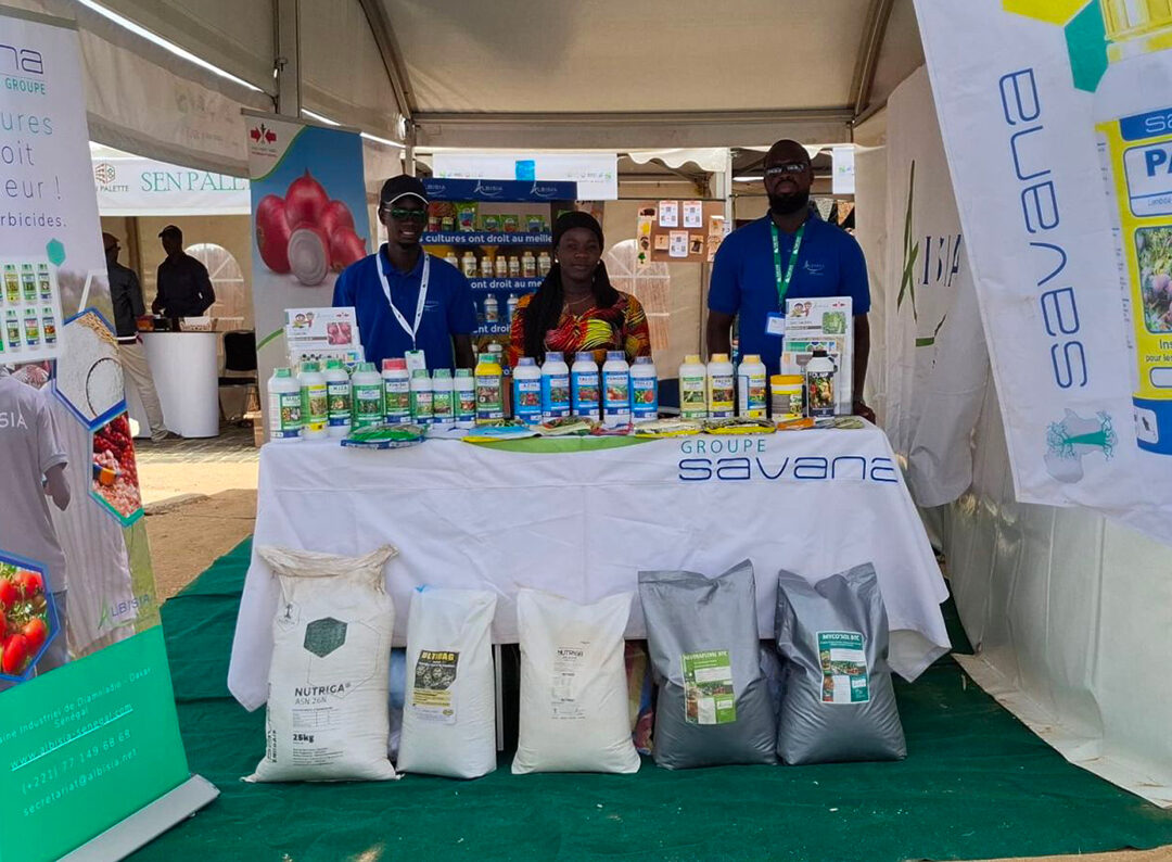 ALBISIA à la FIAN 2025 : Une présence remarquée et un public au rendez-vous !