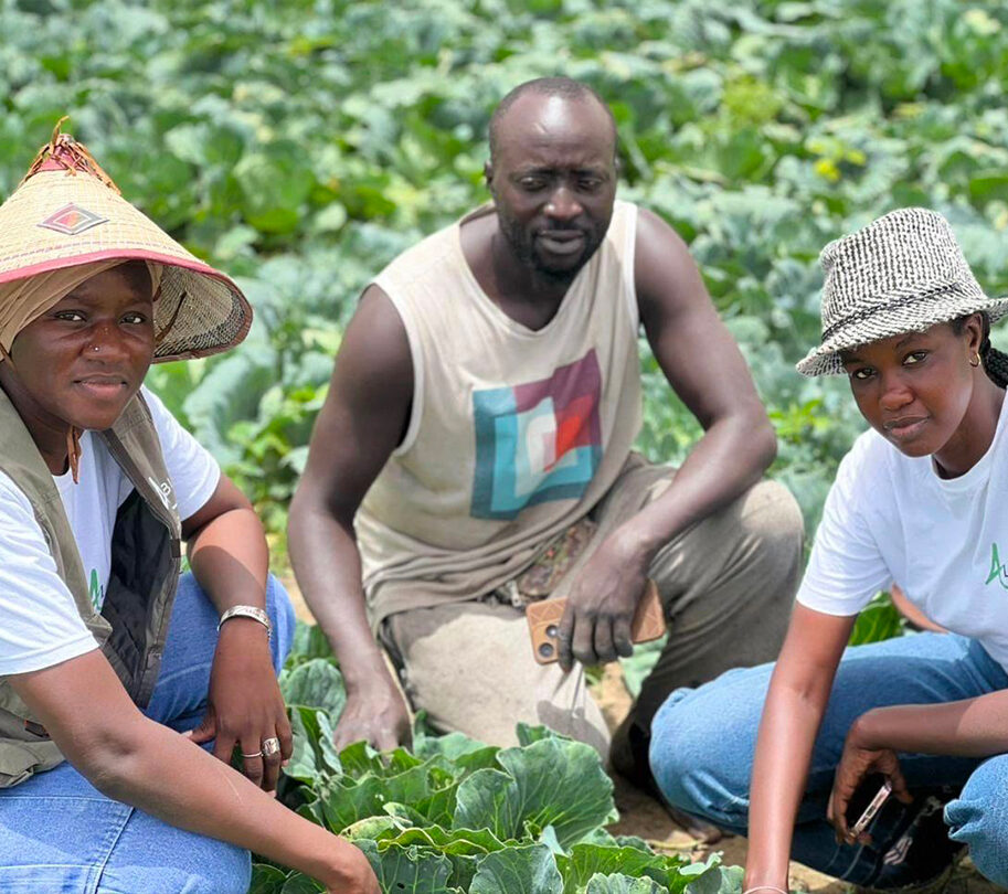 Suivi-démo-libre-du-chou-Nuzaka-à-Tallane